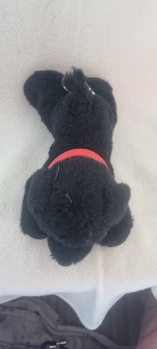 B43 aurora black - b43,