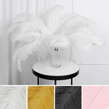 24 pcs 24-26" long Genuine Ostrich FEATHERS for Wedding Party Centerpieces SALE