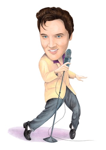 Elvis limited edition fine - a,