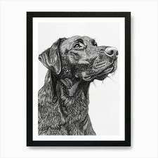 Beauceron Dog Line Sketch  2 Art Pr Framed Wall Art Poster Canvas Print Picture