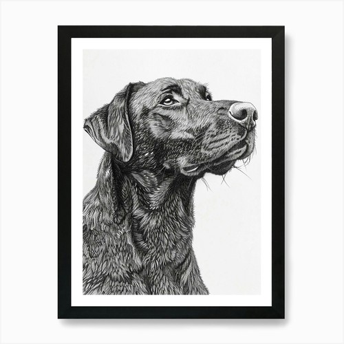 Beauceron dog line - beauceron,