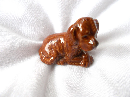 Wade red setter - wade, puppy