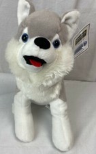 NWT Siberian Husky  Wolf Puppy