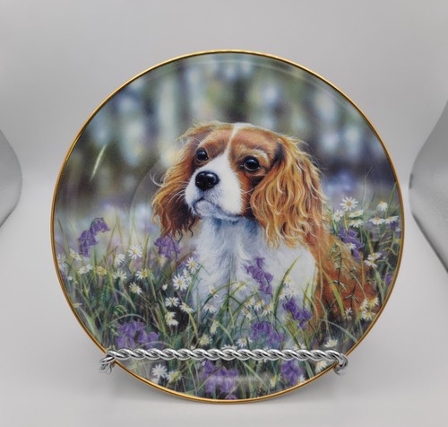 Danbury mint collector plate - mint,