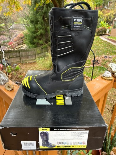 Matterhorn 703 metatarsal - mt,