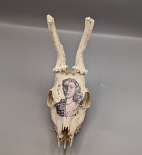 Skulls, Bones, Decorated