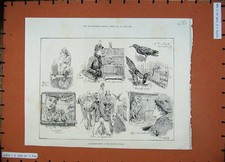 Original Old Antique Print