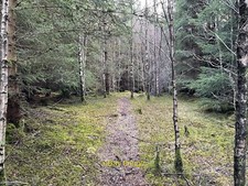 Photo 12x8 Cot-Town Hill