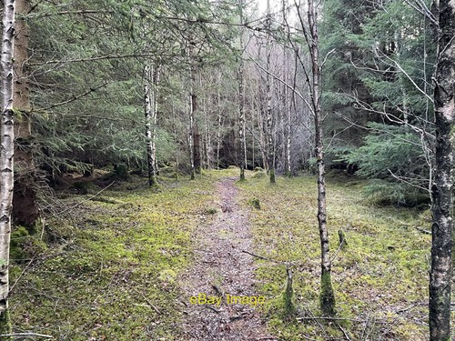 Photo 12x8 cot town hill - photo,