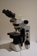 Olympus CX41 Microscope (Phase