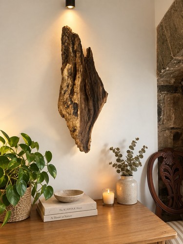 Large natural driftwood - driftwood, wall