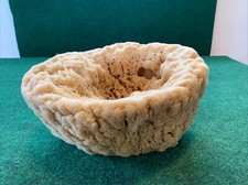 LARGE real natural saltwater