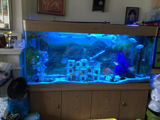 MonsterShop Aquarium Fish Tank - 300L, Black