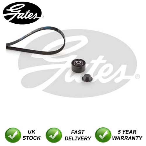 Alternator belt kit gates fits - belt,
