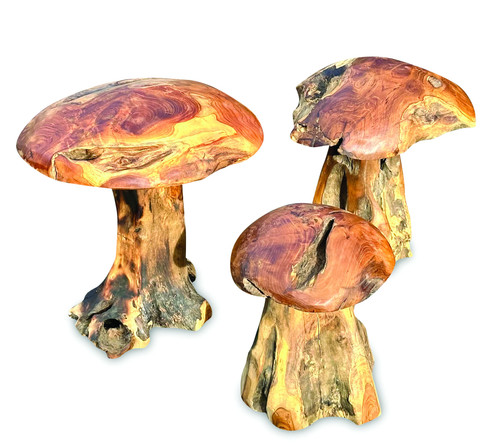 Chunky teak root mushrooms set - root,