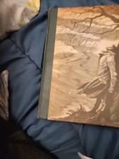 Wuthering Heights, Emily