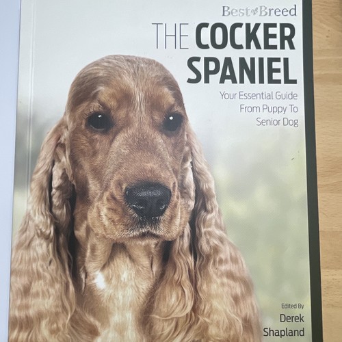 Best breed cocker - best, spaniel