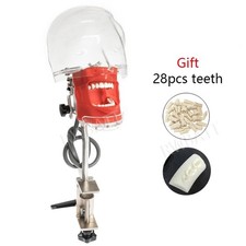 Head Model Dental Simulator