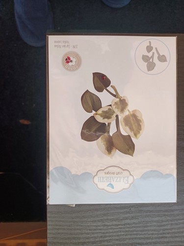 Elizabeth craft designs hosta - craft,