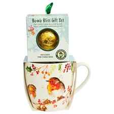 Hot Chocolate Bomb and Robin