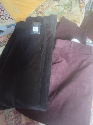 Bnwt pairs men cords - cords, 38w
