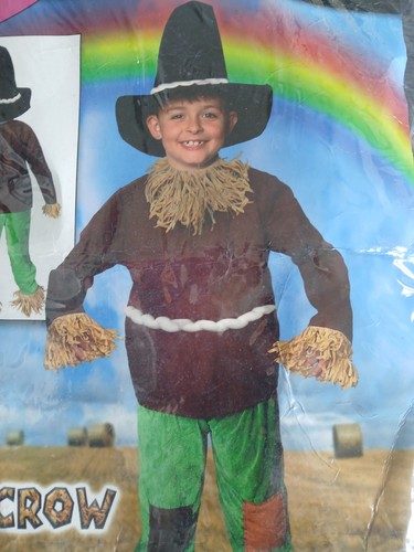 Scarecrow costume size medium - scarecrow,