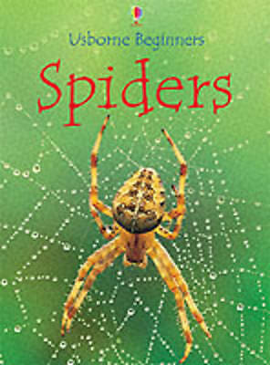 Gilpin rebecca spiders - :,