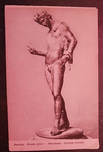 Vtg postcard relief narcissus - vtg,