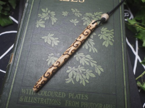 Rosemary wood spiral - rosemary,