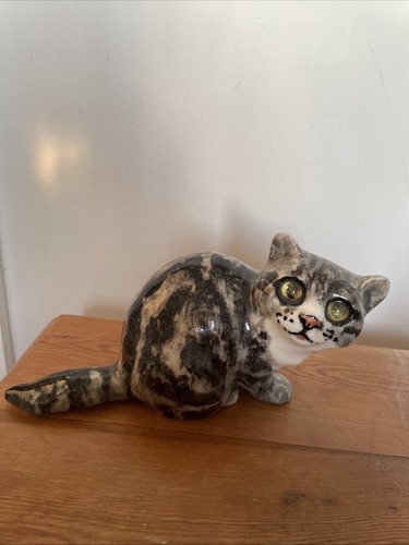 Winstanley sitting tabby cat - winstanley,