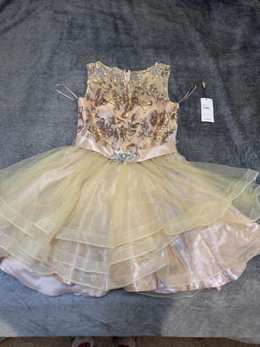 Girls special occasion dress - special,