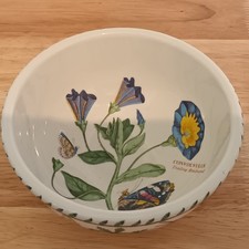 Vintage portmeirion botanic - vintage,