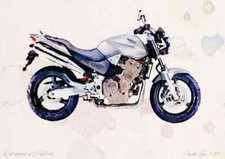 A4 Photo Honda CB900F Hornet