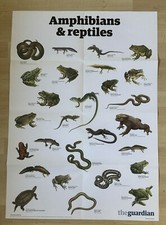 The Guardian Newspaper