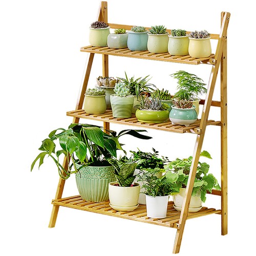 Tier bamboo plant - tier,