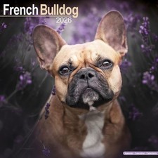French Bulldog 2026 Wall