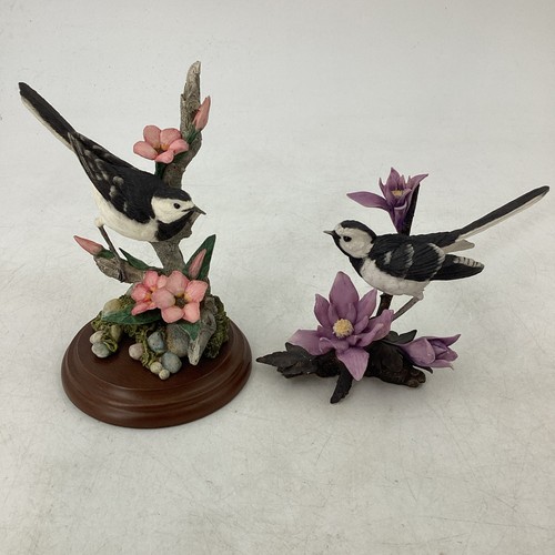 Country artists birds - birds, wagtail