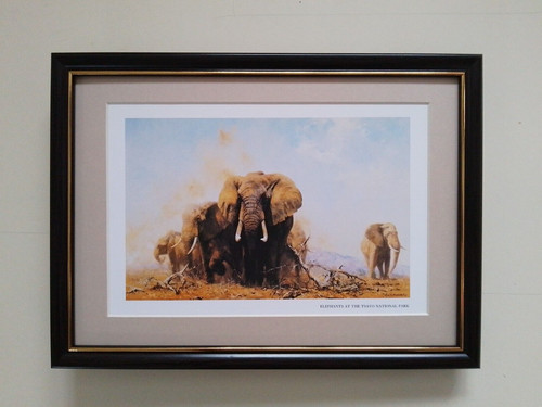 David shepherd print - david,