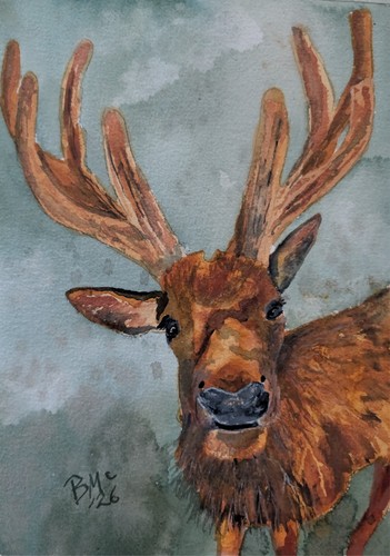 Stag deer watercolor painting