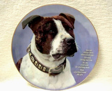 Staffordshire Bull Terrier