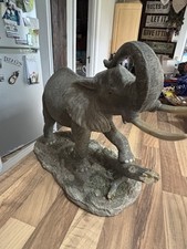 Regency Fine Arts African