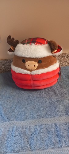 Squishmallow bnwt maurice - squishmallow,