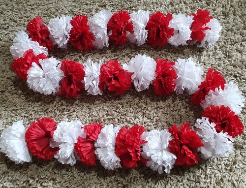 White red dashboard - red, garland