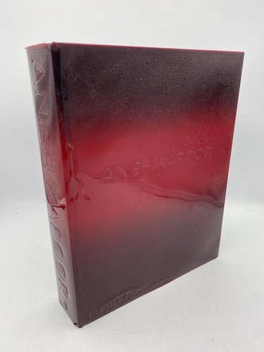 Anish kapoor 20th century - anish, (20th