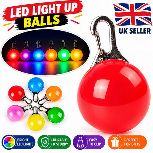 Led dog collar safety - dog, warning