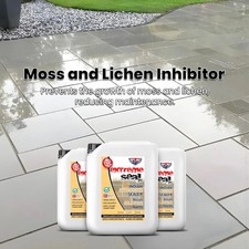WET LOOk Indian Sandstone