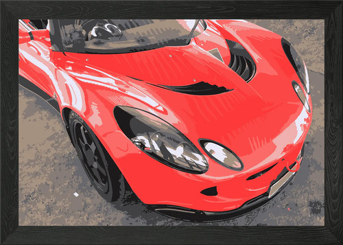 Lotus red framed - lotus, wall