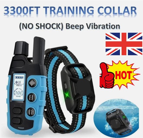 1000m electric pet dog - 1000m,