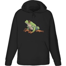 'Rainforest Tree Frog' Adult