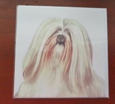 LHASA APSO greetings card dog